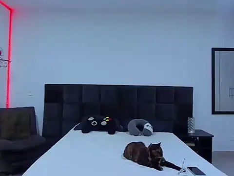 Alexander Martines online show from January 12, 11:31 pm