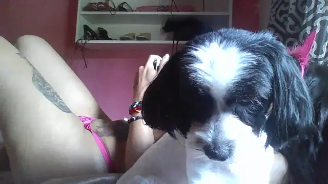 Bonecagulosa online show from November 4, 4:00 pm