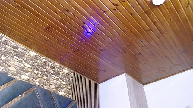 marie hss online show from November 8, 8:23 pm