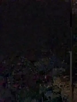 Yoko0381 online show from June 12, 5:38 am