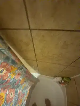 Snapshot of alxcol chatting on December 3, 4:46 am alxcol online show from December 3, 4:46 am