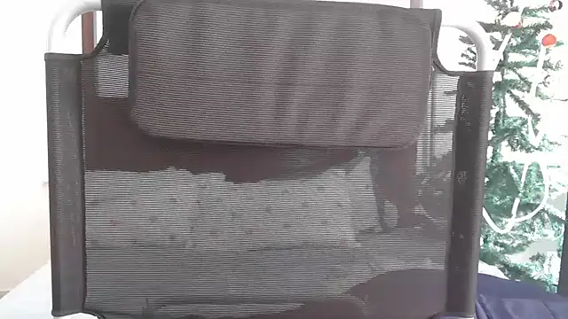 shimoona online show from December 17, 4:39 am