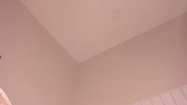 julieta flower online show from March 12, 7:14 pm