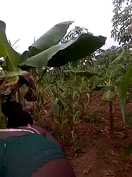 Snapshot of Sherry_she chatting on November 28, 3:39 am Sherry she online show from November 28, 3:39 am