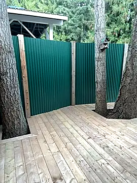 twist699 online show from November 11, 6:47 pm