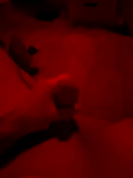 Amo 2121 online show from December 5, 12:10 am