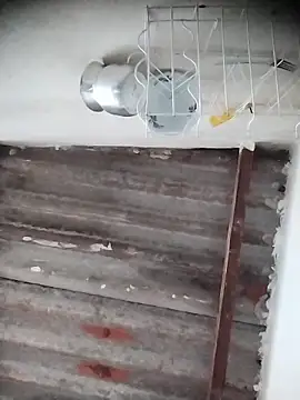 AlexaWarner online show from December 20, 6:22 pm