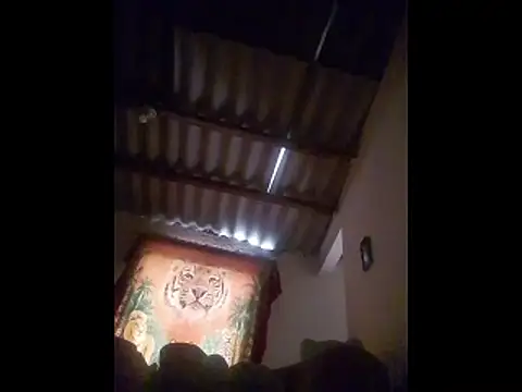 AlexaWarner online show from November 29, 4:18 pm