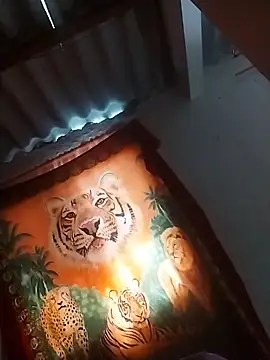 AlexaWarner online show from November 12, 4:11 pm