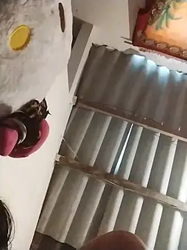 AlexaWarner online show from November 13, 4:00 pm