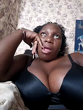 Golden diver online show from November 13, 8:18 am