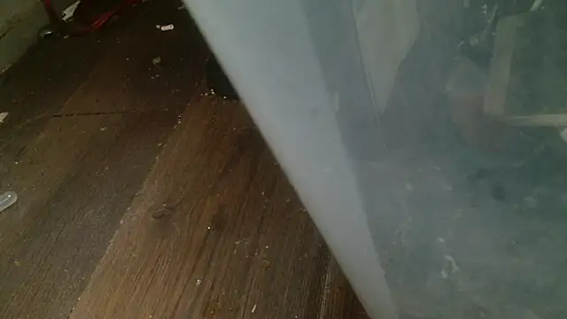 Gigadickman online show from February 27, 4:35 am