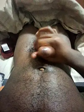 Snapshot of thiefre chatting on October 4, 1:29 am thiefre online show from October 4, 1:29 am