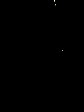 taradobbsafadok online show from December 1, 4:02 am