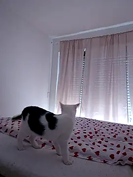 Snapshot of Jujuicy_97 chatting on July 20, 10:39 am Jujuicy 97 online show from July 20, 10:39 am