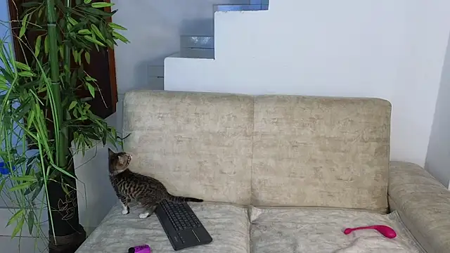 Lorenne Miller online show from October 20, 3:30 am