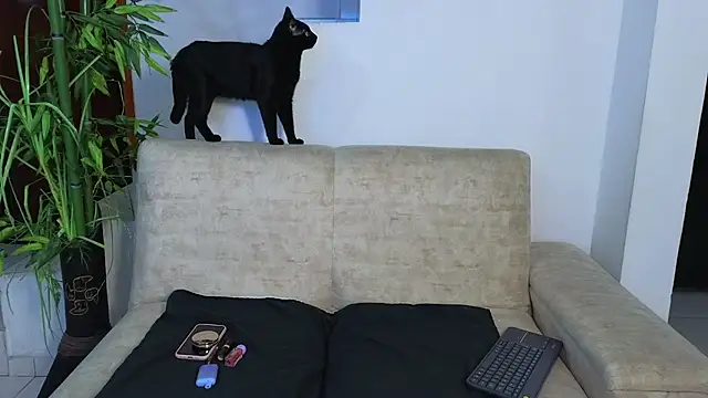 Lorenne Miller online show from March 13, 3:11 am