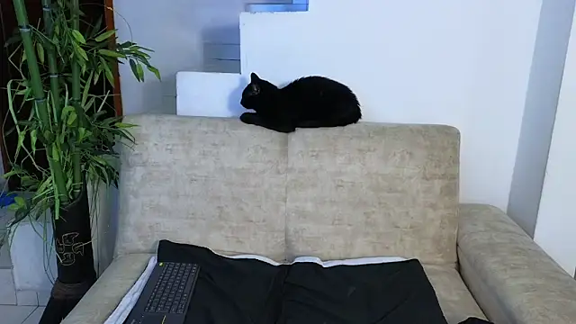 Lorenne Miller online show from April 22, 3:57 am