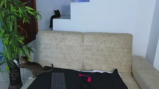 Lorenne Miller online show from October 21, 3:39 am