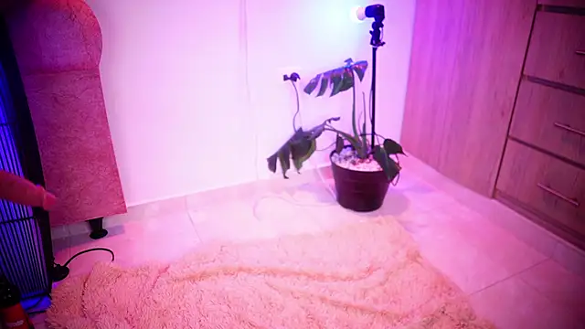 Mikubani18 online show from November 8, 3:43 am