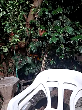 Snapshot of Sweet-diamondxxx chatting on November 15, 2:15 am Sweet-diamondxxx online show from November 15, 2:15 am