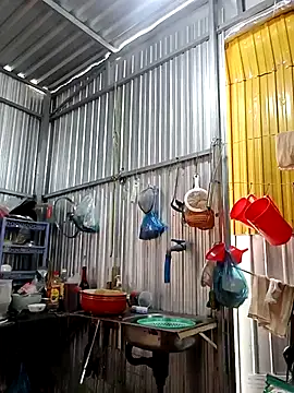 VyOanh2K online show from February 8, 6:55 am