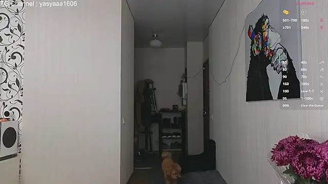 Yassyaaa online show from November 12, 4:27 am