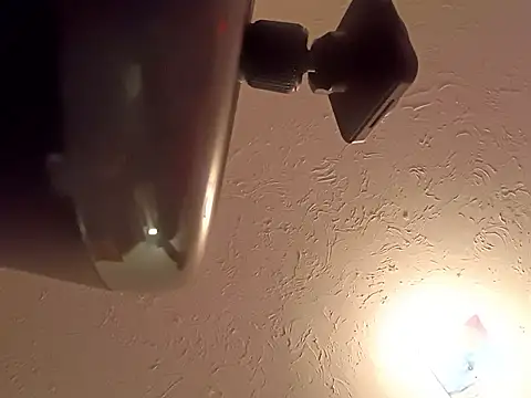 sissytrapdolly24 online show from March 25, 10:19 pm