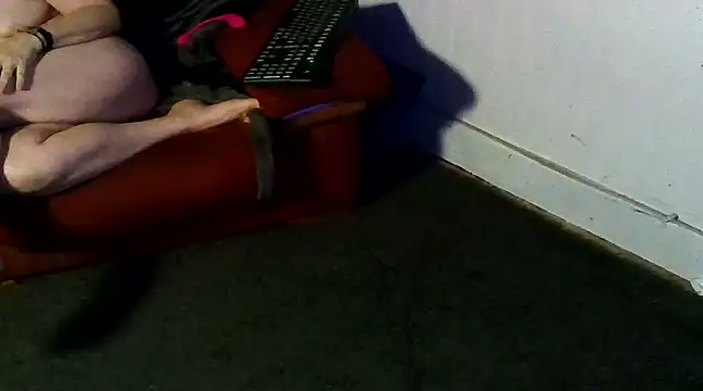 cplf2024 online show from February 26, 12:41 am