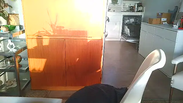 Snapshot of costanza7070 chatting on December 15, 12:05 am costanza7070 online show from December 15, 12:05 am