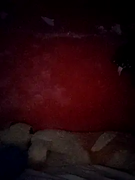 VL25DN26 online show from October 30, 9:29 am