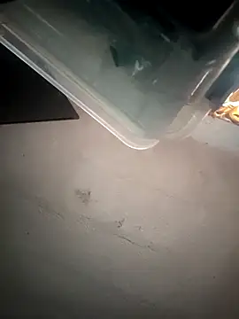 VL25DN26 online show from March 9, 2:09 pm