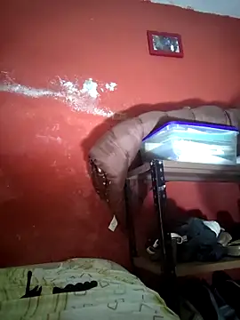 VL25DN26 online show from December 19, 9:44 am