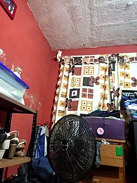 VL25DN26 online show from February 10, 8:57 am