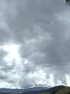 Cuervo maniaco online show from November 16, 5:17 pm