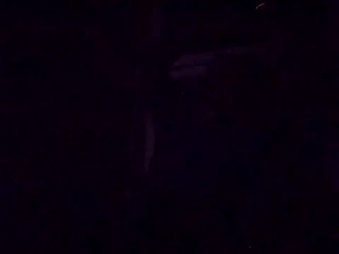 DrbigdickUK online show from September 28, 8:27 pm
