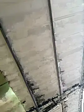 Snapshot of eva_y_marcelo chatting on November 3, 11:14 am eva y marcelo online show from November 3, 11:14 am