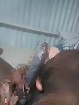 advocate2 online show from November 8, 6:17 am