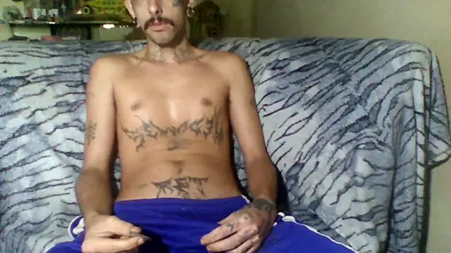 sellvageria online show from February 8, 1:09 pm