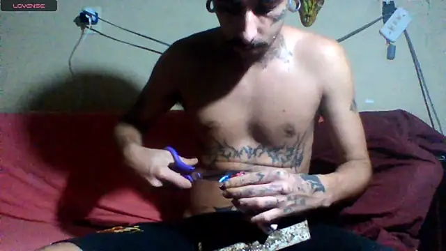 sellvageria online show from March 19, 3:17 am