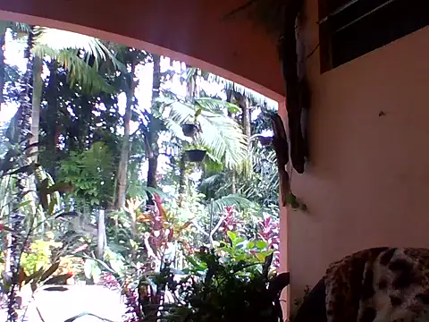 Snapshot of sellvageria chatting on October 4, 12:39 pm sellvageria online show from October 4, 12:39 pm