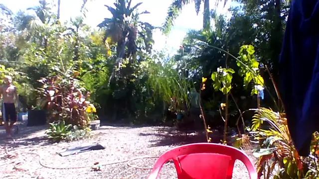 sellvageria online show from December 15, 5:08 pm