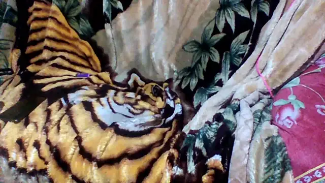 Snapshot of sellvageria chatting on October 12, 2:57 am sellvageria online show from October 12, 2:57 am