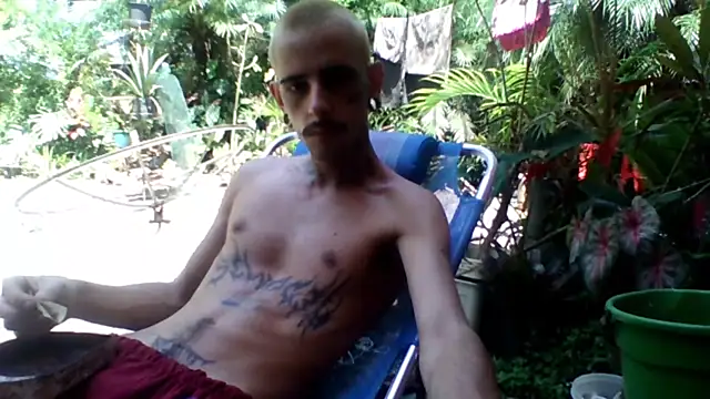 sellvageria online show from November 22, 1:32 pm