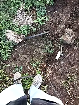 sexy yashu 006 online show from November 7, 11:37 am