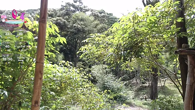 Snapshot of andreu_mature chatting on November 20, 3:12 pm andreu mature online show from November 20, 3:12 pm