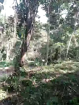 andreu mature online show from February 11, 8:31 pm