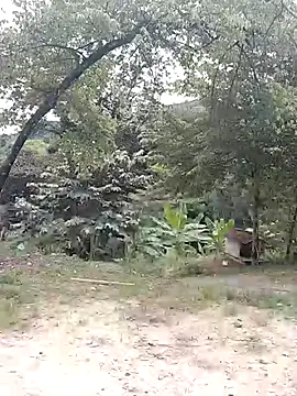 andreu mature online show from February 21, 4:20 pm