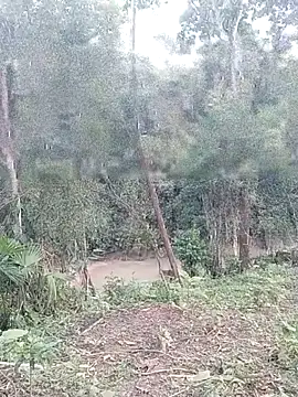 andreu mature online show from March 26, 11:02 pm