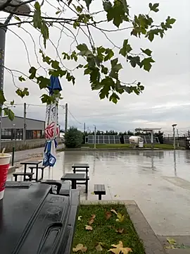 Snapshot of baramadalin chatting on December 1, 5:52 am baramadalin online show from December 1, 5:52 am